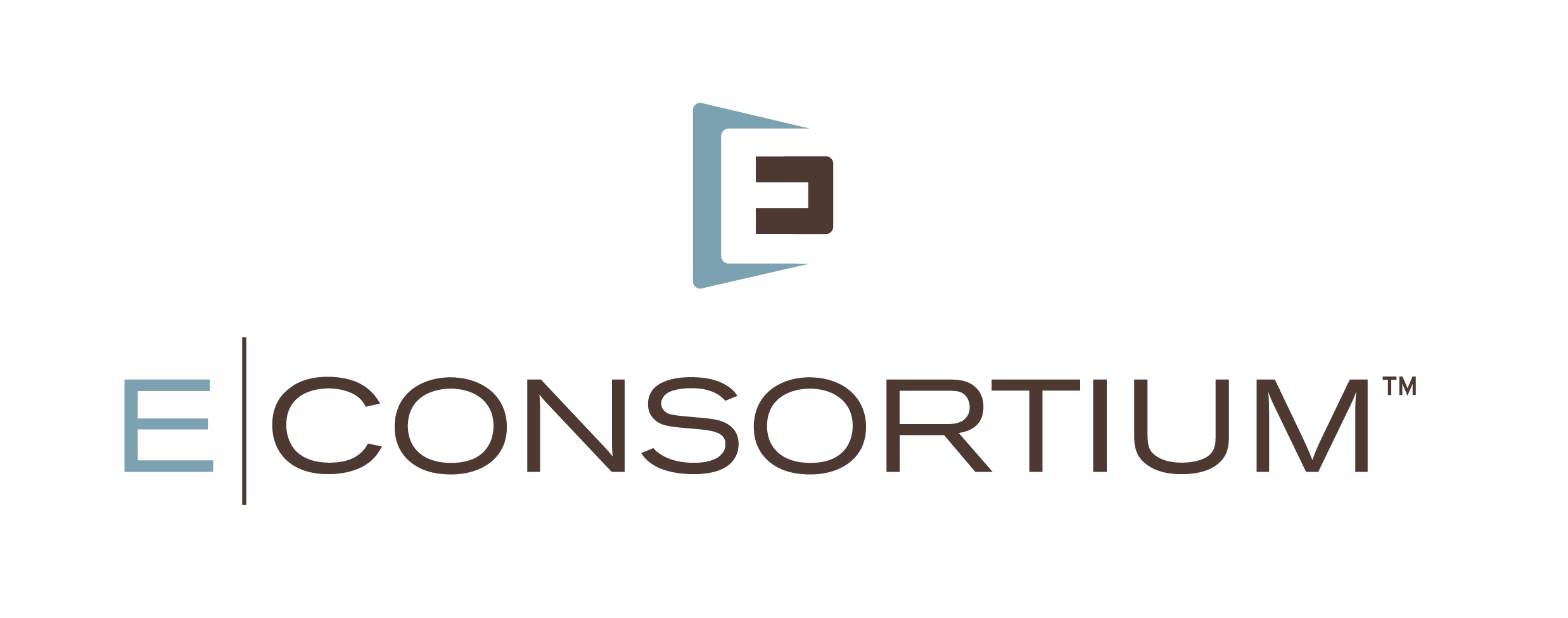 E|CONSORTIUM